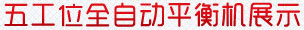 五工位全自動(dòng)平衡機(jī)展示